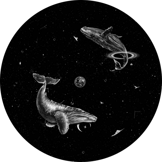 Whales And Moon Disc for LaView Star Projector