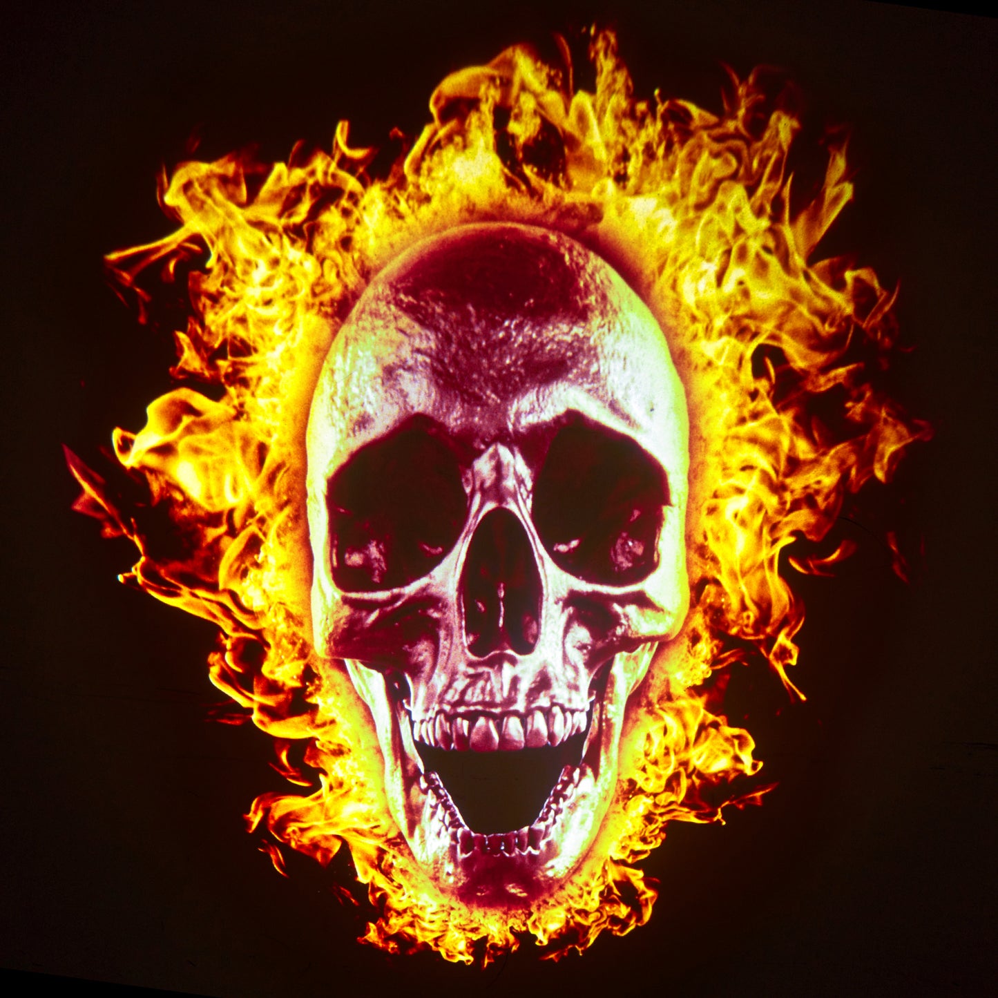 Skull's Revenge Disc Set for LaView Star Projector