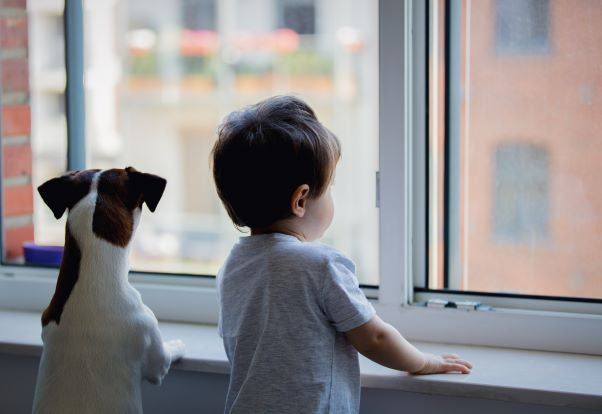 The Perfect Time for Peace of Mind - 4 New WiFi Cameras