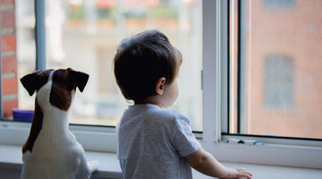 The Perfect Time for Peace of Mind - 4 New WiFi Cameras
