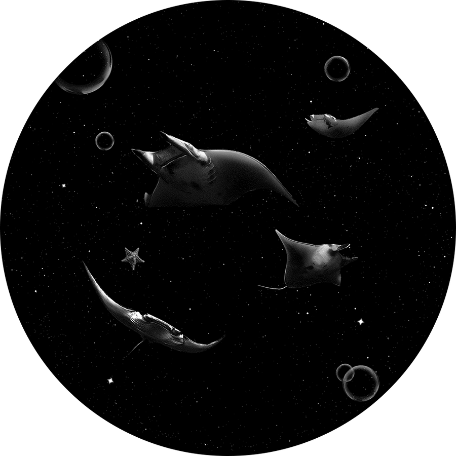 [Pre-Order] Manta Ray Disc for LaView Star Projector