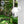 Load image into Gallery viewer, R12 Outdoor 360° Camera  (1080P)
