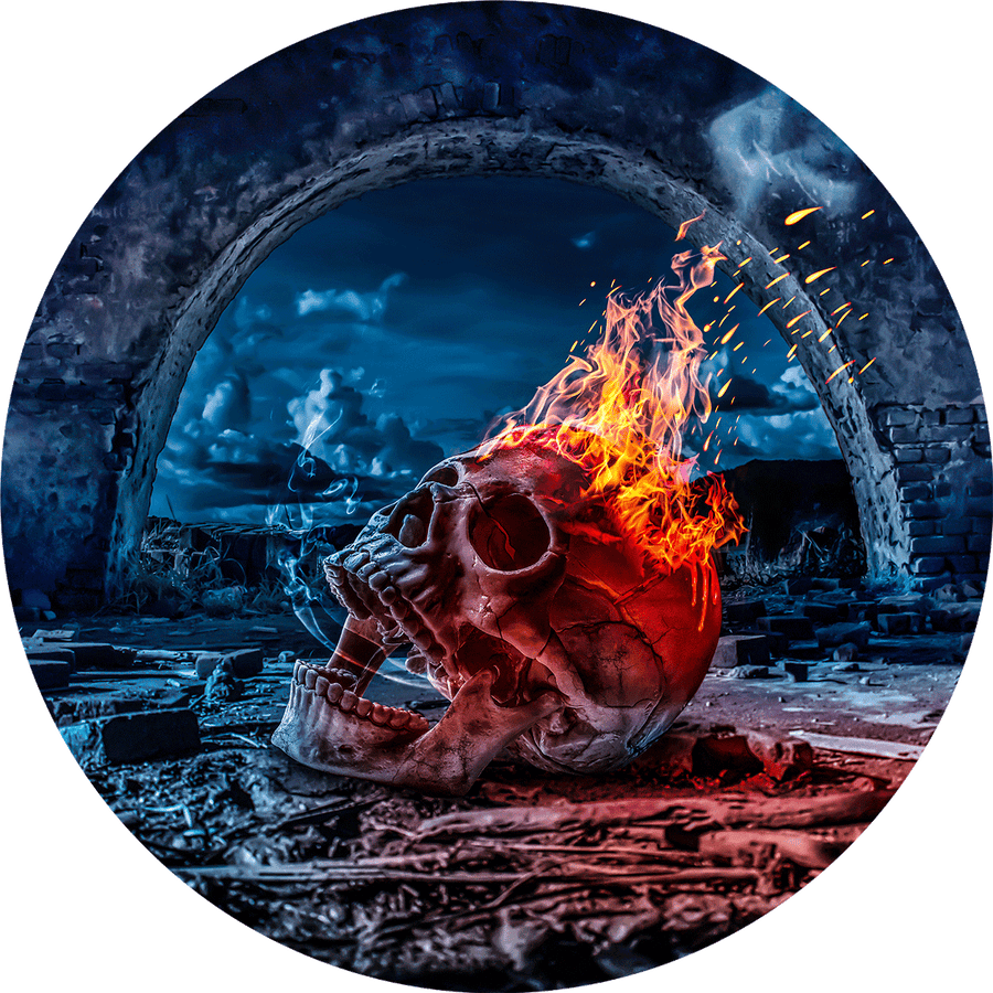 Skull's Revenge Disc Set for LaView Star Projector