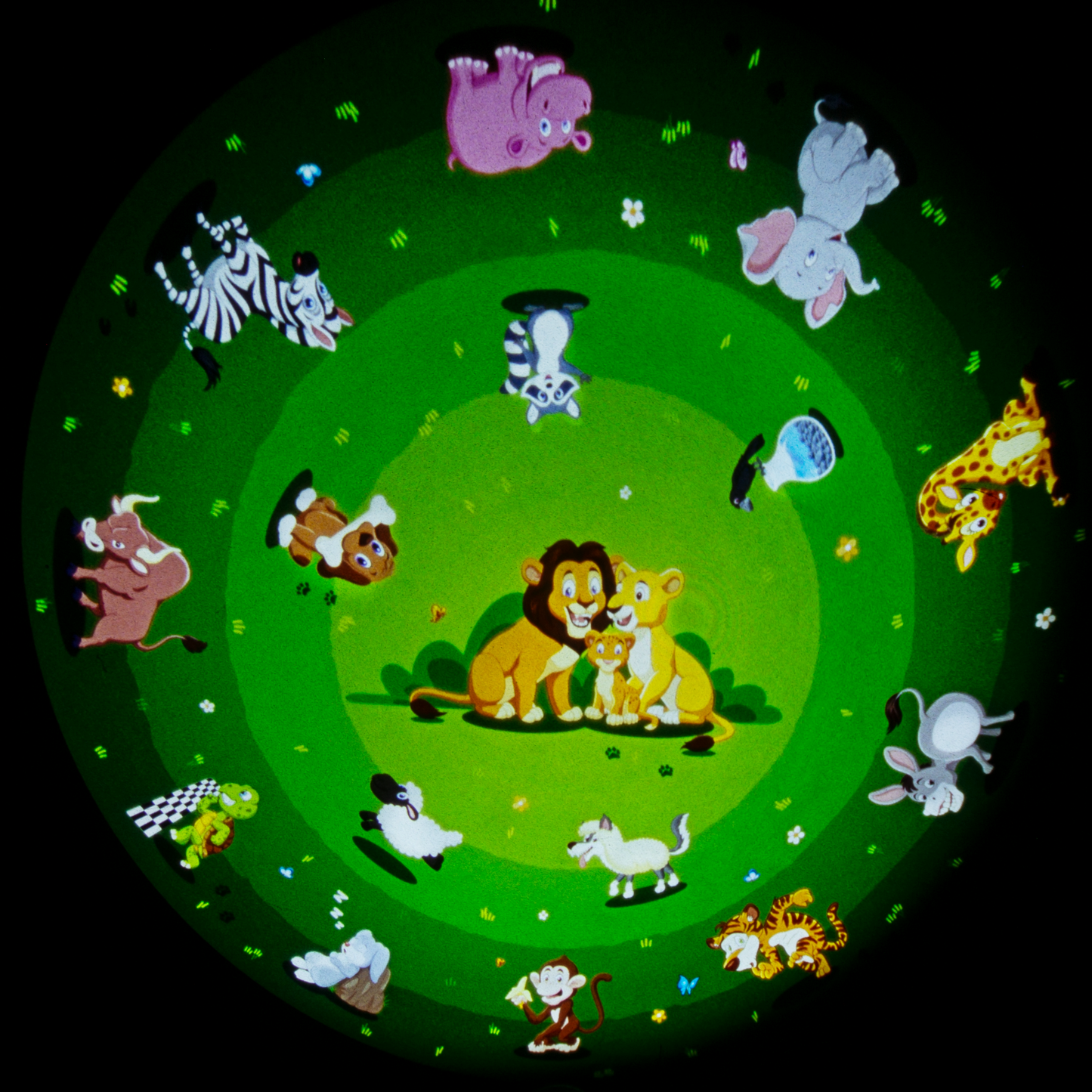Child Disc Set for LaView Star Projector