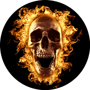 Skull's Revenge Disc Set for LaView Star Projector