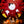 Load image into Gallery viewer, Halloween &amp; Thanksgiving Disc Set for LaView Star Projector
