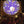 Load image into Gallery viewer, Christmas &amp; New Year Disc Set H1 for LaView Star Projector
