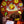 Load image into Gallery viewer, Halloween &amp; Thanksgiving Disc Set for LaView Star Projector
