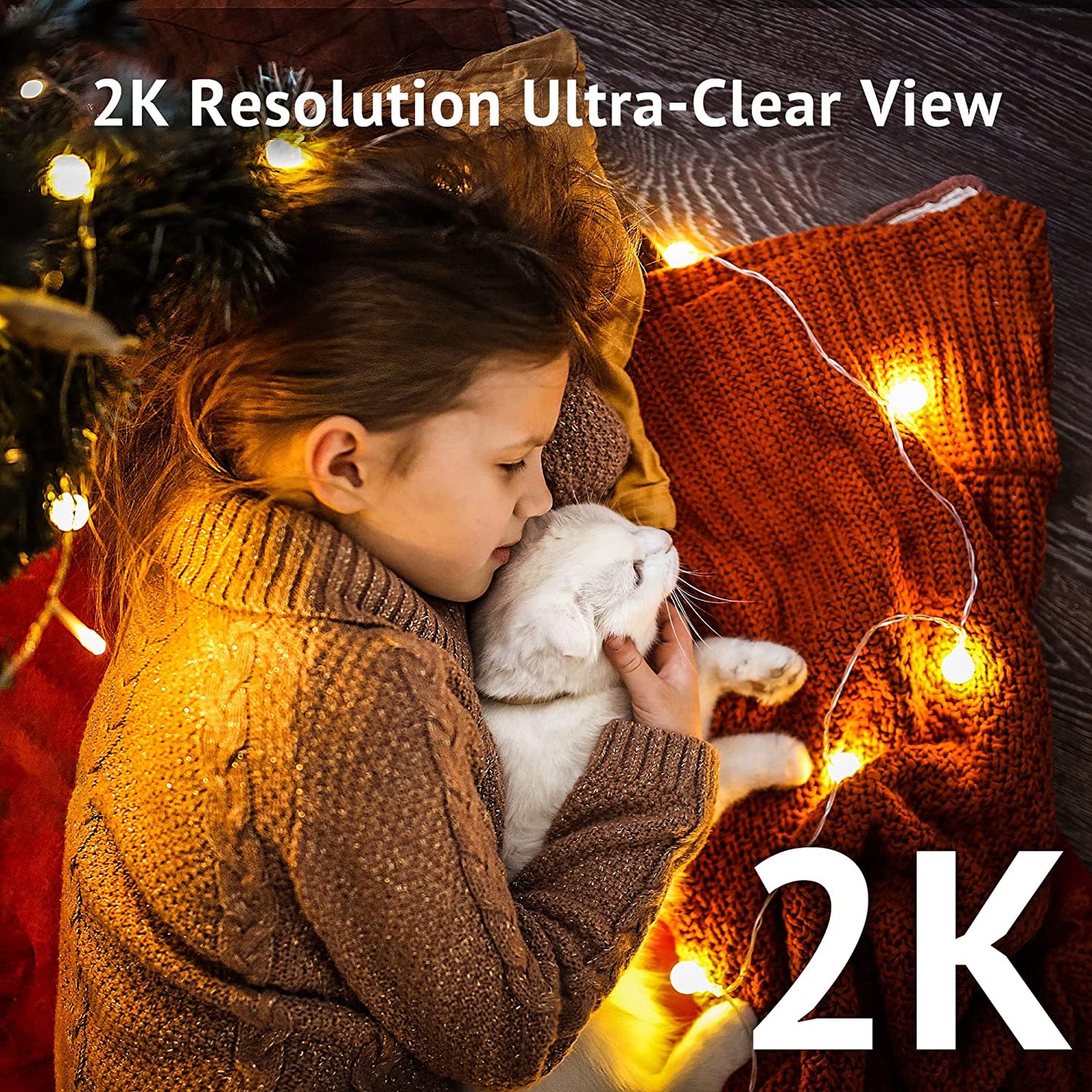 B5 Indoor&outdoor Camera