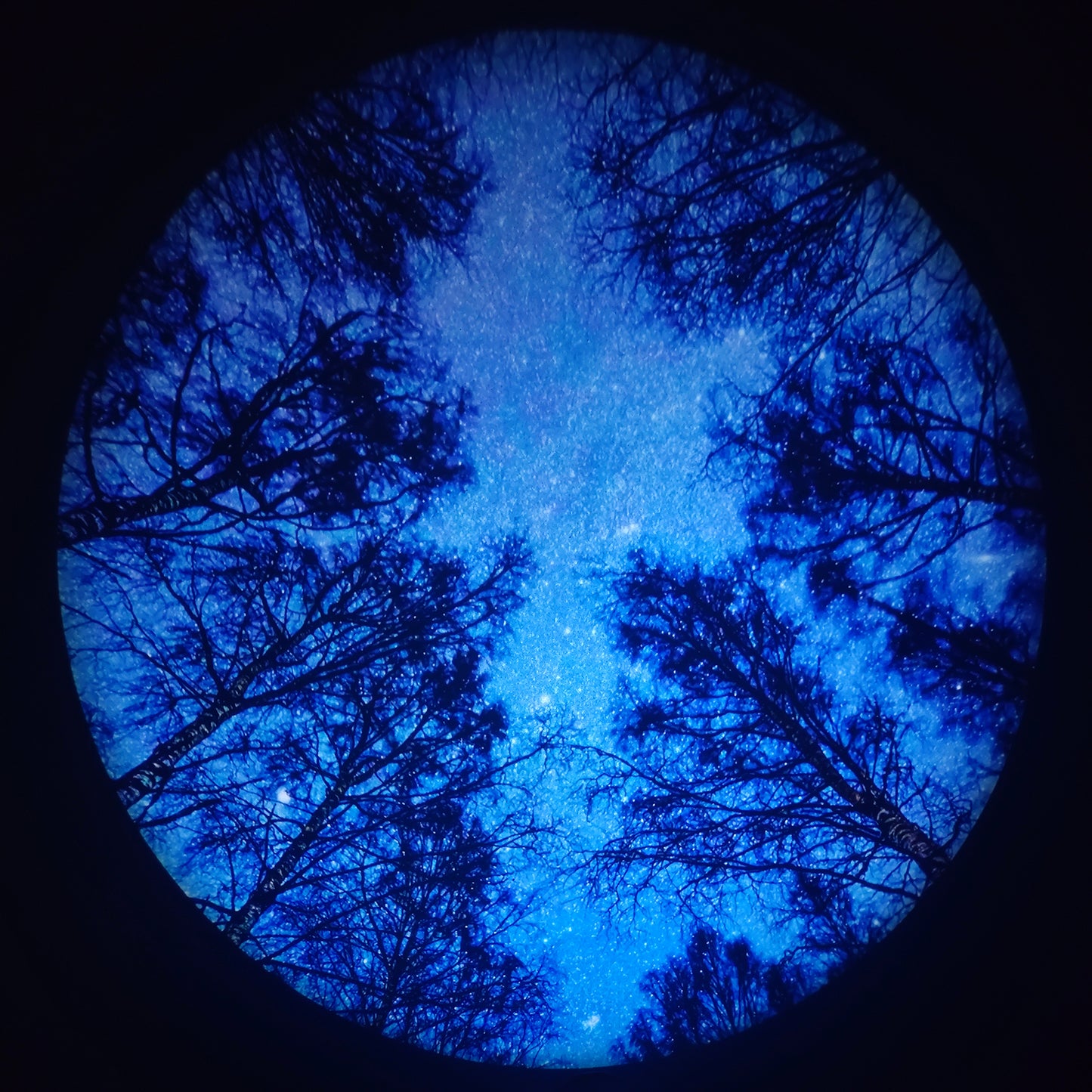 Trees of the Seasons Disc Set for LaView Star Projector