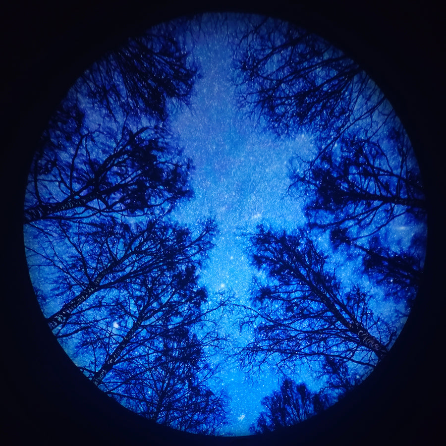 Trees of the Seasons Disc Set for LaView Star Projector