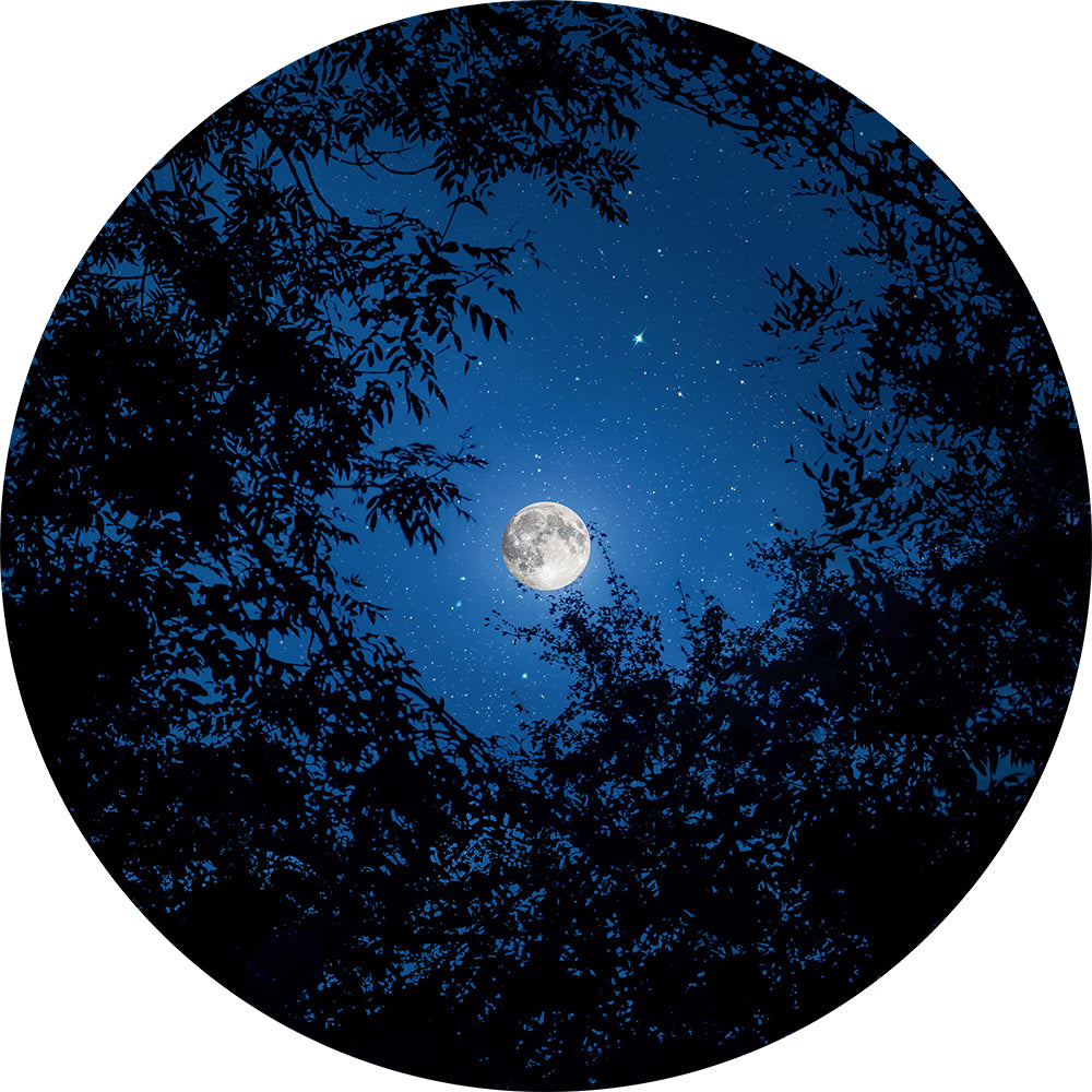 Trees of the Seasons Disc Set for LaView Star Projector